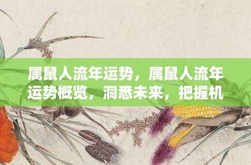 属鼠人流年运势概览,洞悉未来,把握机遇,迎接好运!