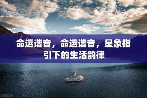 星象指引的命运谐音,生活韵律的探寻