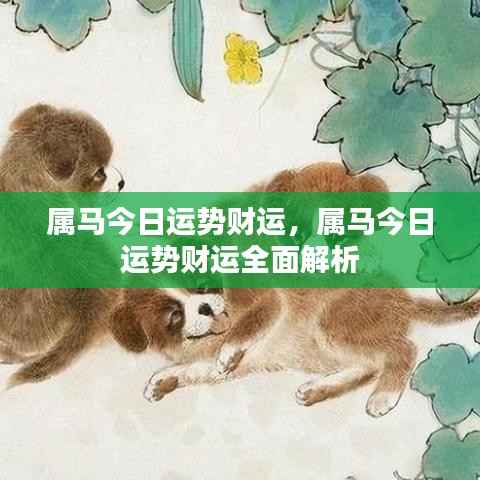 属马今日运势财运详解,全面解析今日财运走向