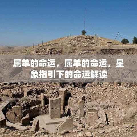 富贵荣华 第5页