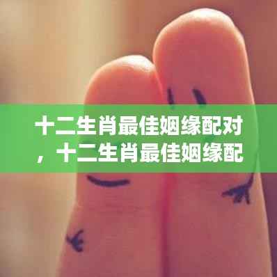 揭秘十二生肖最佳姻缘配对,寻找属于你的缘分密码!