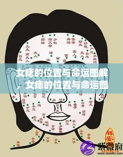 女痣位置与命运图解,揭示痣相学中的奥秘