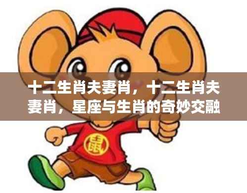 生肖与星座交融,十二生肖夫妻情感运势深度解析