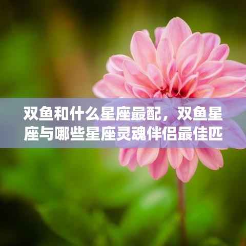 双鱼星座的最佳灵魂伴侣,揭秘与哪些星座最配!