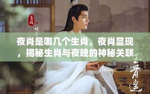 揭秘夜晚生肖,哪些生肖与夜晚有神秘关联?