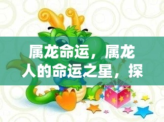 属龙命运之谜,探寻命运之星与无限可能之路