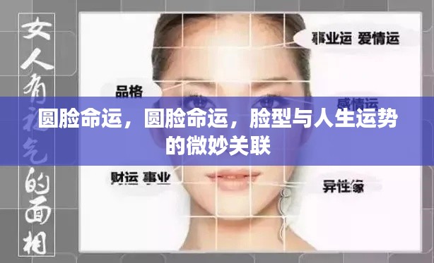 脸型与命运,圆脸背后的微妙人生运势关联