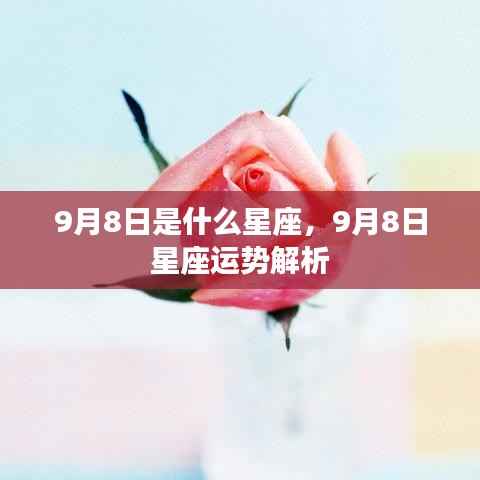9月8日星座运势解析及特点揭秘