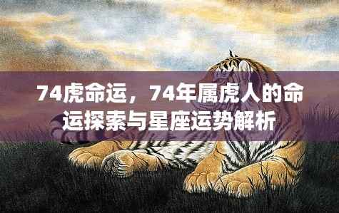 揭秘74年属虎人的命运轨迹与星座运势解析