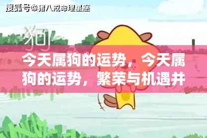 今日属狗运势概览,繁荣与机遇并存