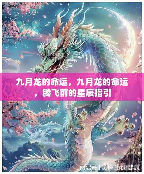 九月龙的命运,星辰指引下的腾飞之路