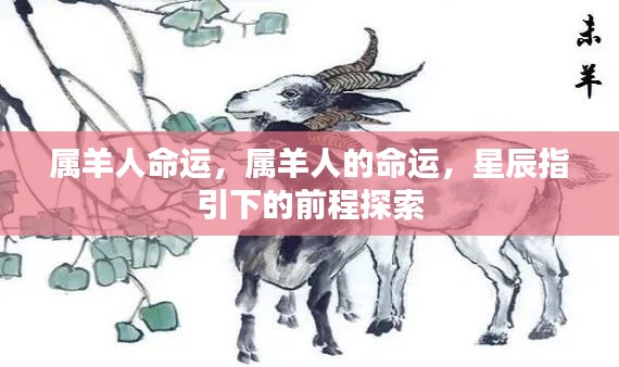属羊人的命运探索,星辰指引下的前程展望