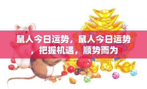 鼠人今日运势揭秘,把握机遇,顺势而为