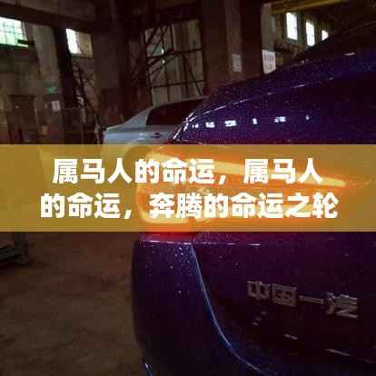 属马人的命运,奔腾在命运之轮上