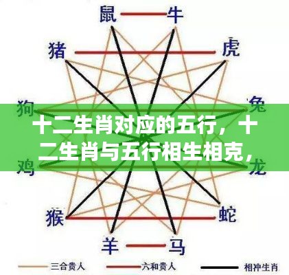 十二生肖对应的五行,十二生肖与五行相生相克,你的命运密码解读