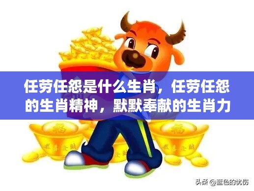 任劳任怨的生肖精神解读,默默奉献的力量与生肖力量的展现