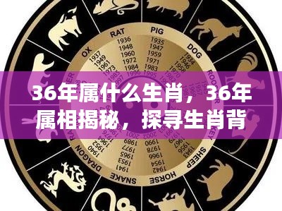 揭秘生肖奥秘,探寻属相运势之秘,揭秘生肖属相背后的运势奥秘(针对属相为鼠的生肖)
