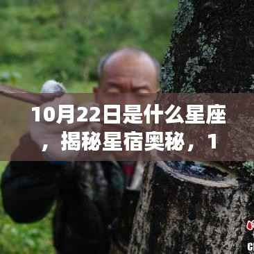 揭秘星宿奥秘,10月22日星座运势解读与特征分析