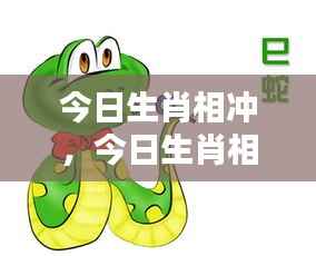 今日生肖相冲详解,洞悉运势,掌握生活节奏提醒