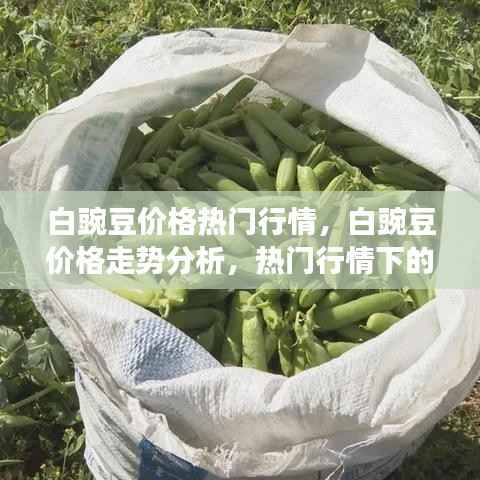 白豌豆价格走势分析及市场洞察,热门行情下的市场动态