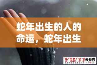 蛇年出生者的命运详解