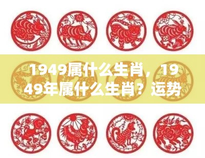 1949年属相运势解析及个性特点揭秘,生肖运势深度解读与个性洞察