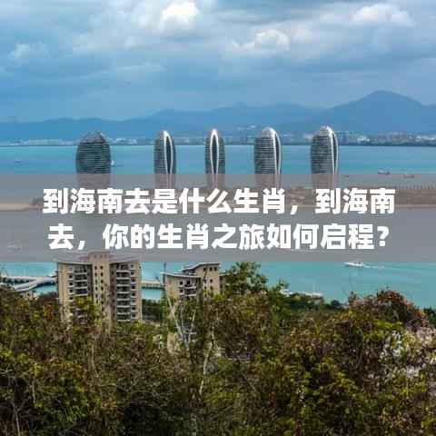启程生肖之旅,海南之行与生肖探秘