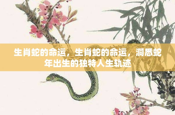 揭秘生肖蛇的命运轨迹,洞悉蛇年出生人的独特人生之路。