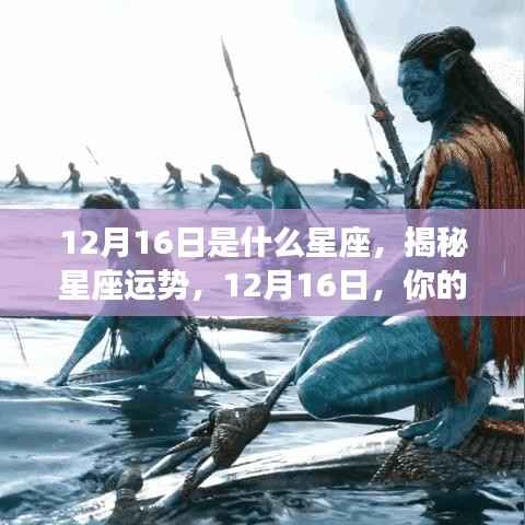 揭秘星座运势,12月16日的星座运势如何?