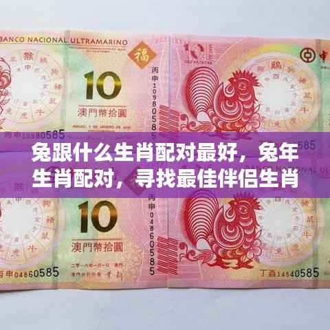 兔年生肖配对解析,寻找最佳伴侣生肖组合