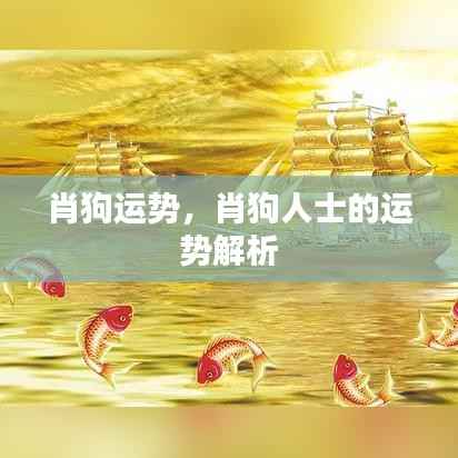 肖狗人士运势解析,全年运势展望