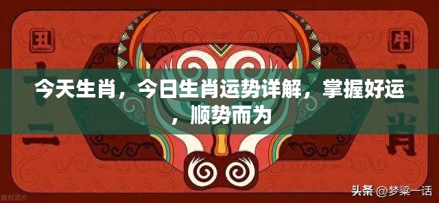 今日生肖运势详解,掌握好运,顺势而为的关键指南