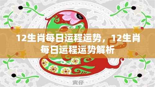 每日运势解析,十二生肖运势详解