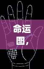 洁身自好 第4页