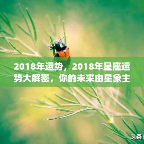 2018年运势,2018年星座运势大解密,你的未来由星象主宰