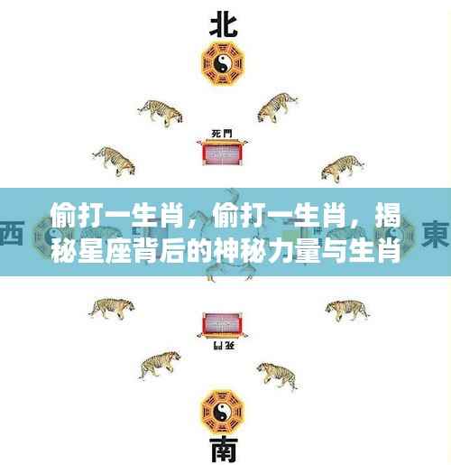 揭秘生肖运势与星座神秘力量的神秘关联,偷打一生肖探秘生肖运势之谜