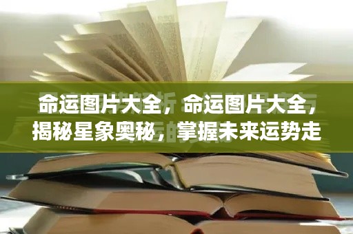 仙姿佚貌 第5页