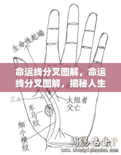 命运线分叉图解,揭示人生轨迹多元走向的神秘面纱