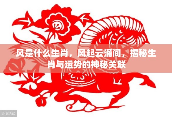风是什么生肖,风起云涌间,揭秘生肖与运势的神秘关联