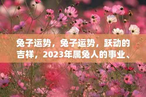 2023年属兔人的事业、财富与健康运势详解,跃动的吉祥运势展望