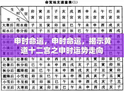 申时命运揭秘,黄道十二宫申时运势走向探讨
