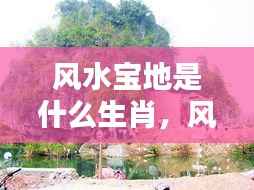 揭秘生肖与风水宝地间的神秘联系,生肖运势大解析