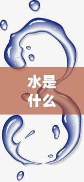 水元素生肖的神秘魅力,探寻生肖与水的奥秘交织