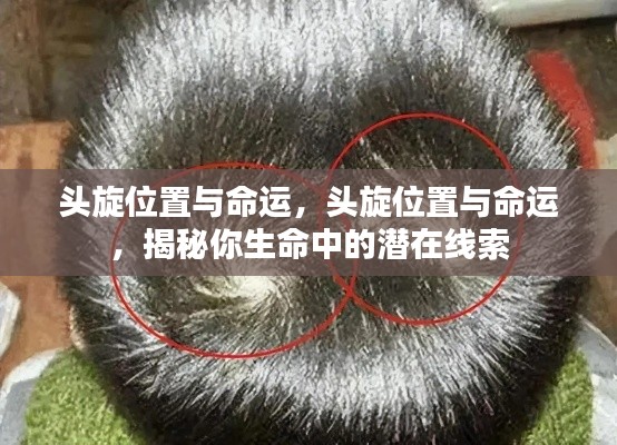头旋位置揭示命运潜在线索,探寻生命奥秘的启示