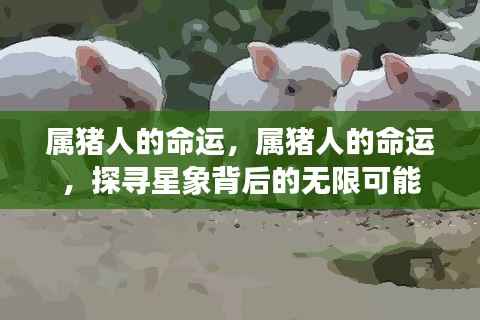 属猪人的命运探究,星象背后的无限可能与探寻命运之谜