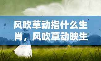 风吹草动映生肖,谁先知运势起伏的秘密?