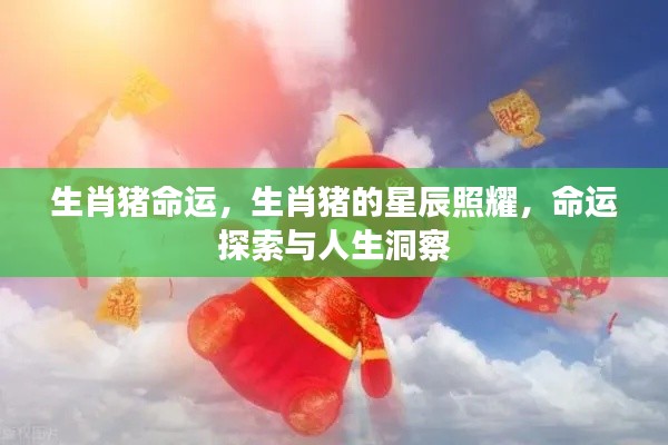 生肖猪命运探索,星辰照耀与人生洞察