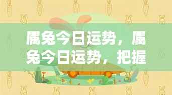 属兔今日运势揭秘,把握机遇,勇迎挑战