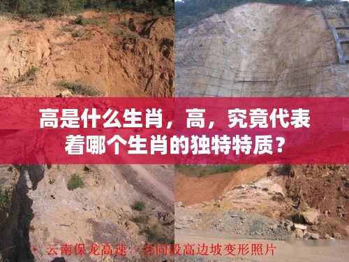 生肖与高,哪个生肖特质与高字相符?