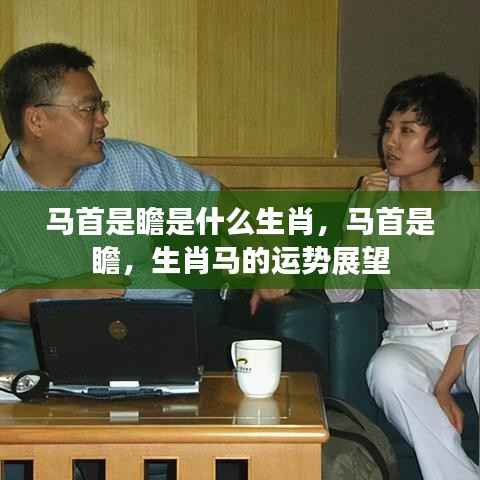 夯雀儿先飞 第4页